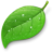 3442